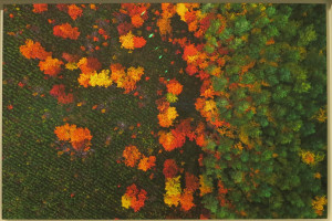 Kacper Kowalski, Seasons/Autumn #29, archival pigment print, 27 x 41 inches, 2015.