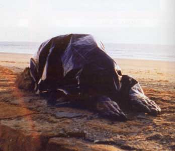 Huma Bhabha, Untitled, 2005, private collection