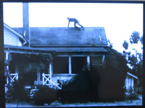 Bas Jan Ader, Fall 1, Los Angeles, 16mm black and white film, 1970.