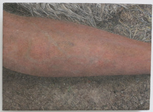 Ellen Altfest, Leg, oil on linen, 8 x 11 x 1 ½ inches, 2010.