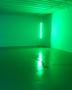 Pamela Rosenkranz, Amazon (Green), LED lighting strip, 56 x 1 1/8 x ½ inches, 2016. 